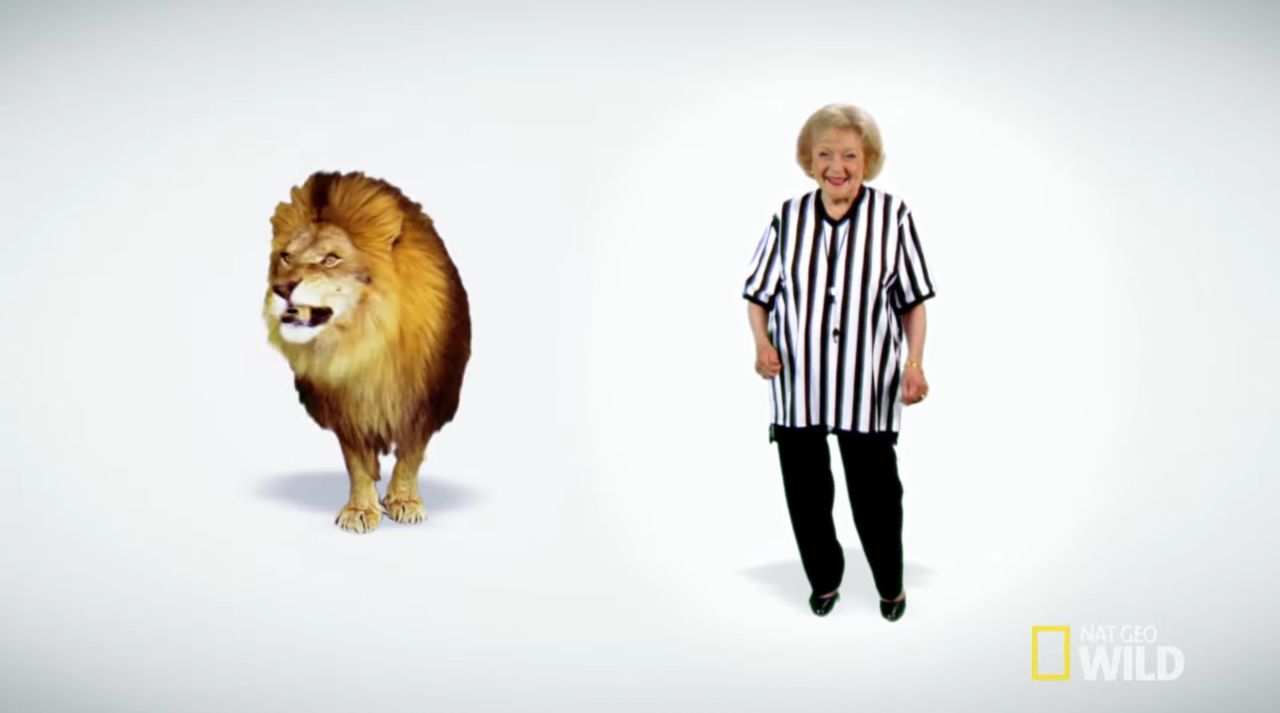 <strong>"Betty White Goes Wild!"</strong>: The beloved star delves into the lives of big cats in this special. <strong>(Disney+)</strong>