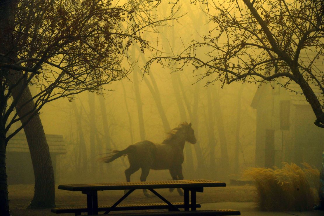 A horse runs through Grasso Park as smoke from nearby fires obscures visibility, on December 30, 2021, in Superior, Colorado. 