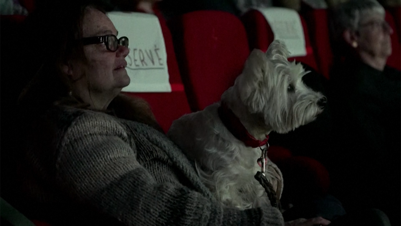 21301772 - Paris cinema dogs for special screening.00_01_45_20.Still001.png