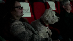 21301772 - Paris cinema dogs for special screening.00_01_45_20.Still001.png