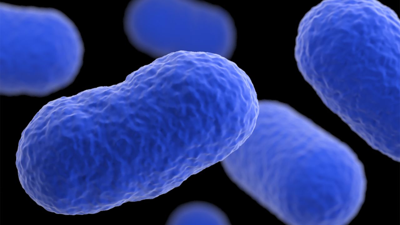 This illustration depicts a three-dimensional (3D), computer-generated image of a grouping of Listeria monocytogenes bacteria. The artistic recreation was based upon scanning electron microscopic (SEM) imagery.