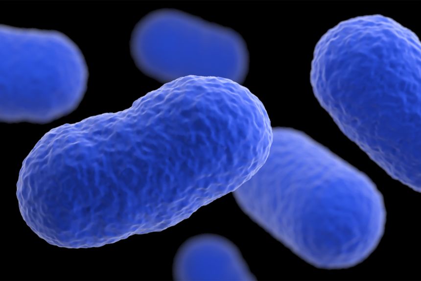 Listeria monocytogenes bacteria cause the illness known as listeriosis.