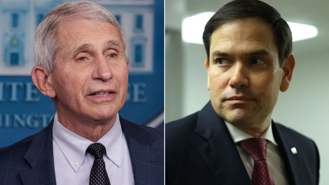 fauci rubio split