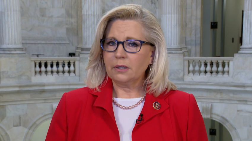 liz cheney 010222