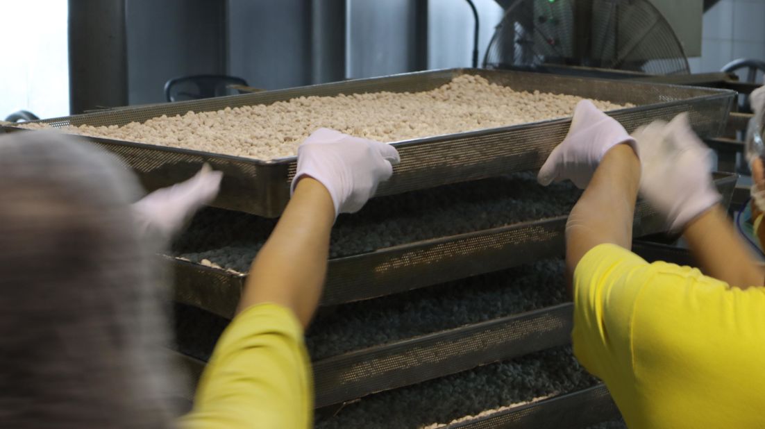 <strong>Fermenting the beans: </strong>To make soy sauce, soybeans are sorted, boiled and mixed with microbiological cultures and flour. They're then left to ferment in a temperature and humidity-controlled room. 