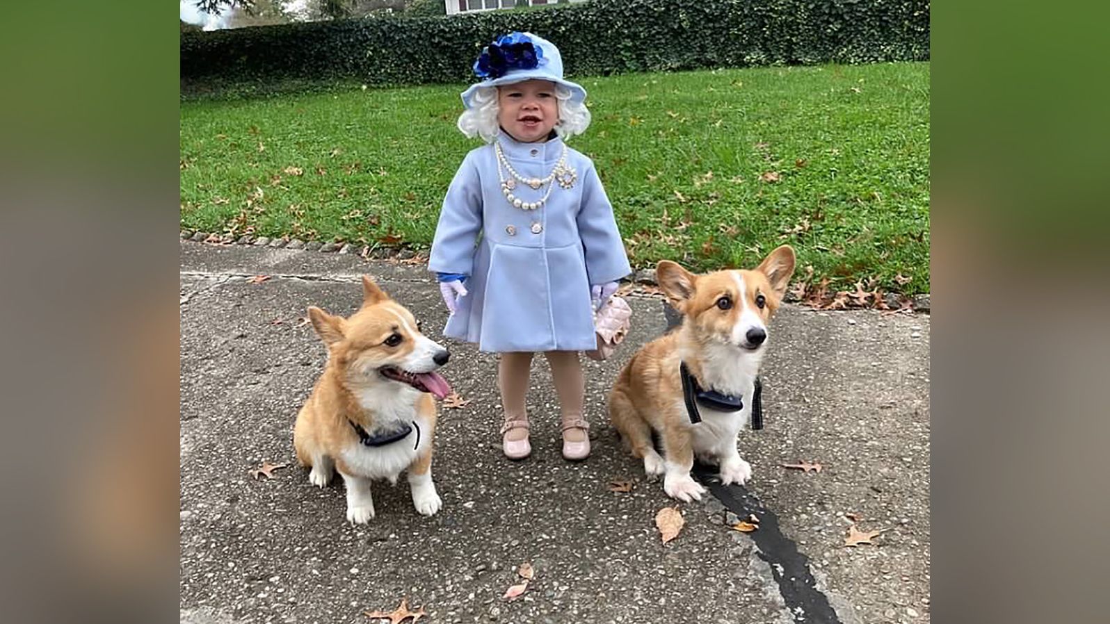 Jalayne Sutherland, accompanied by corgis Rascal and Jack, donned a royal outfit for Halloween.