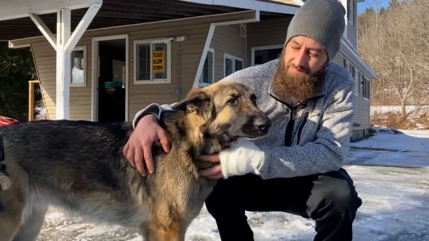 A Vermont man is thanking his loyal canine companion after a crash on Interstate 89 this week.