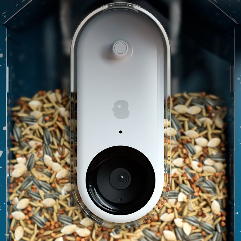 digital bird feeder