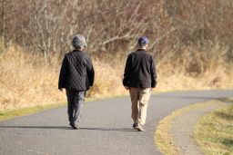 Exercise boosts proteins in the brain that protect against cognitive decline, study says.