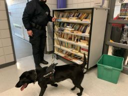 Covid detection dogs are being utilized in Massachusetts schools.