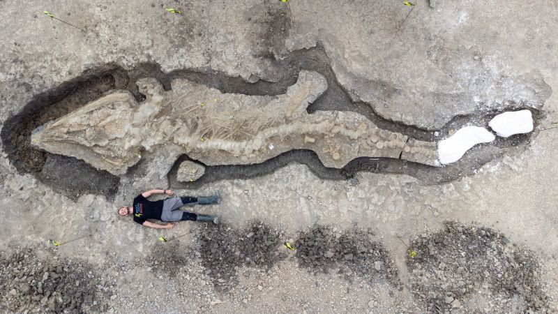 Ichthyosaur: Huge ‘sea dragon’ fossil dating back 180 million years found in UK reservoir