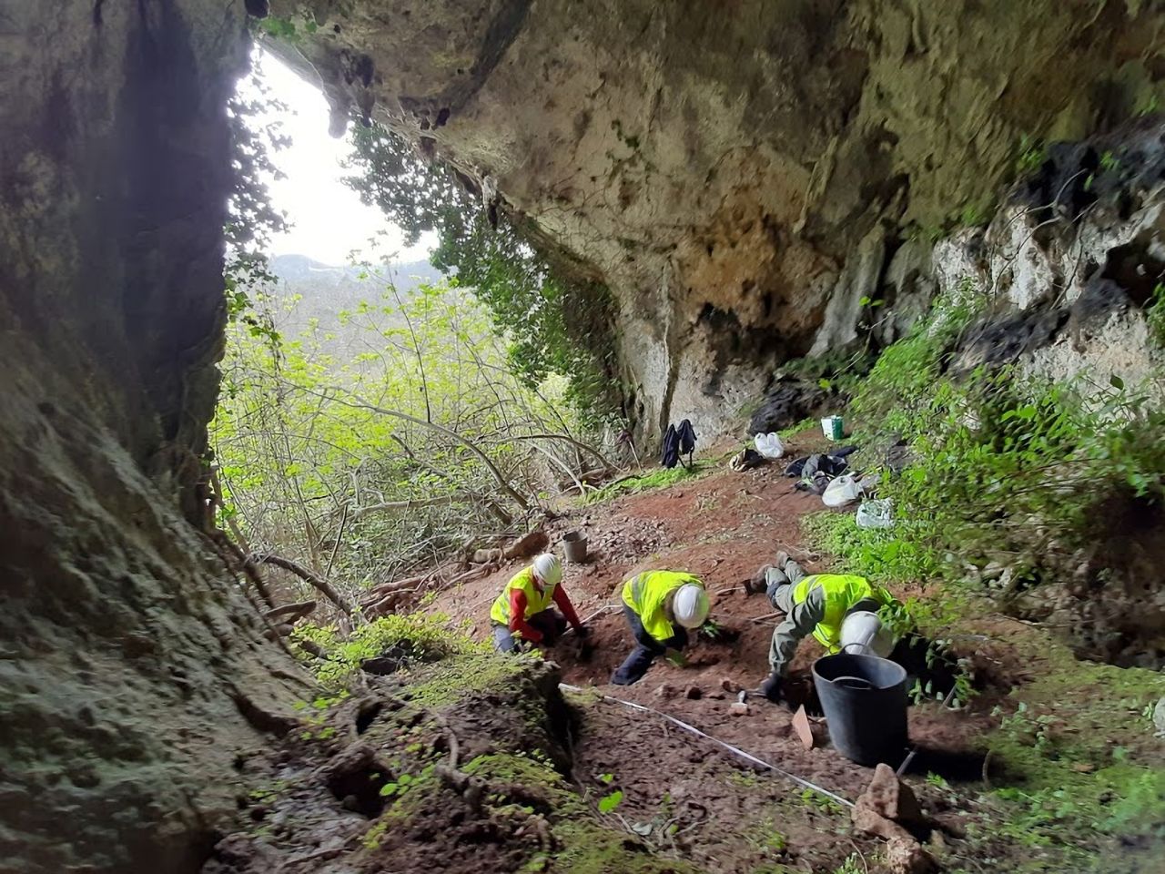 The cave is in the Asturias region of northwestern Spain.