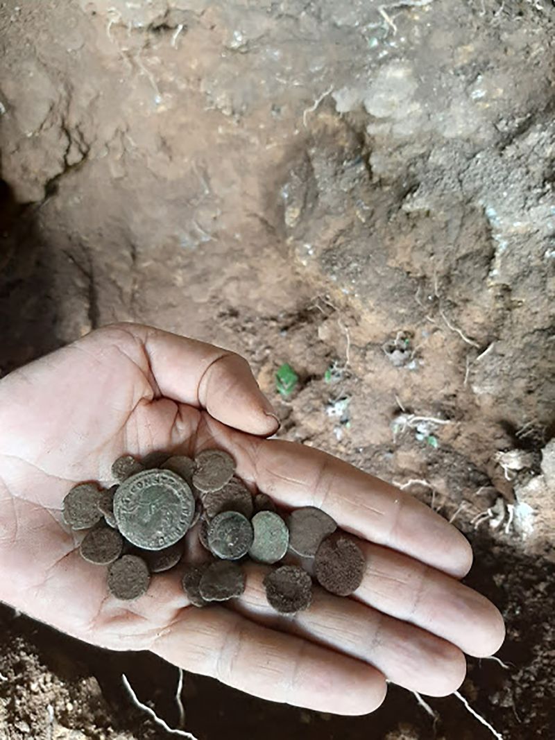 Badger leads archaeologists to hoard of Roman coins in Spain CNN