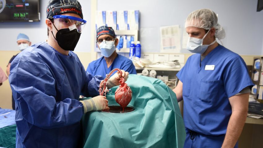 03 pig heart transplant