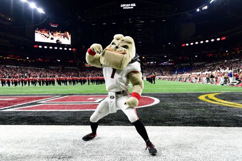 Hairy Dawg, Georgia's mascot, gets ready for kickoff.