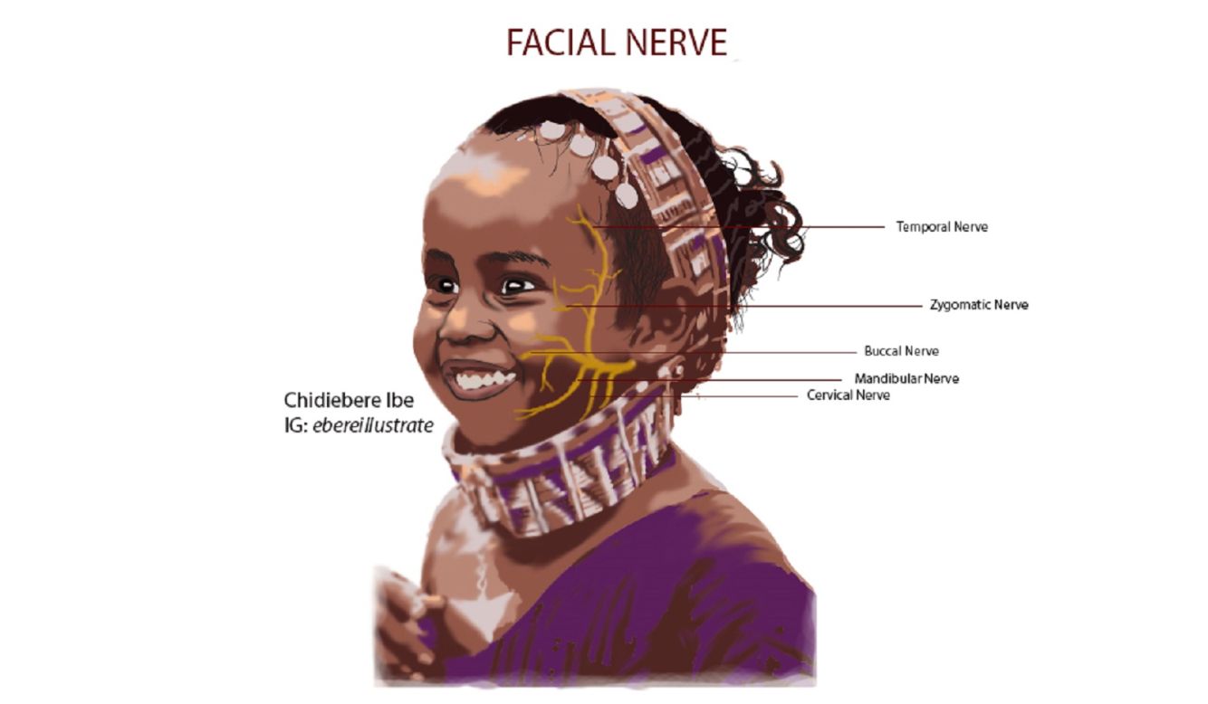 After seeing his illustrations, medical student Malone Mukwende invited Ibe to collaborate with him on the second edition of his book "Mind the Gap: A clinical handbook of signs and symptoms in Black and Brown Skin." "Chidiebere's work was refreshing as it showed that there is a future where there'll be representation in textbooks," said Mukwende.<br />