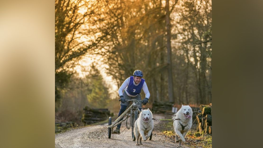 Hodgson and team race through the New Forest in southern England.