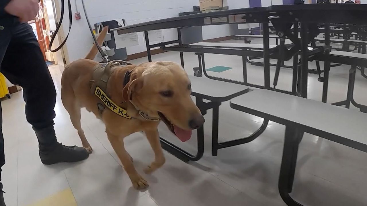 tuchman dog 2