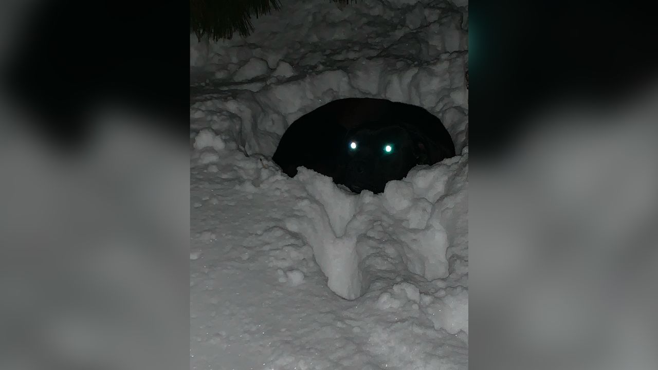 Russ survived four months alone in the wilderness and was found in snowy conditions.