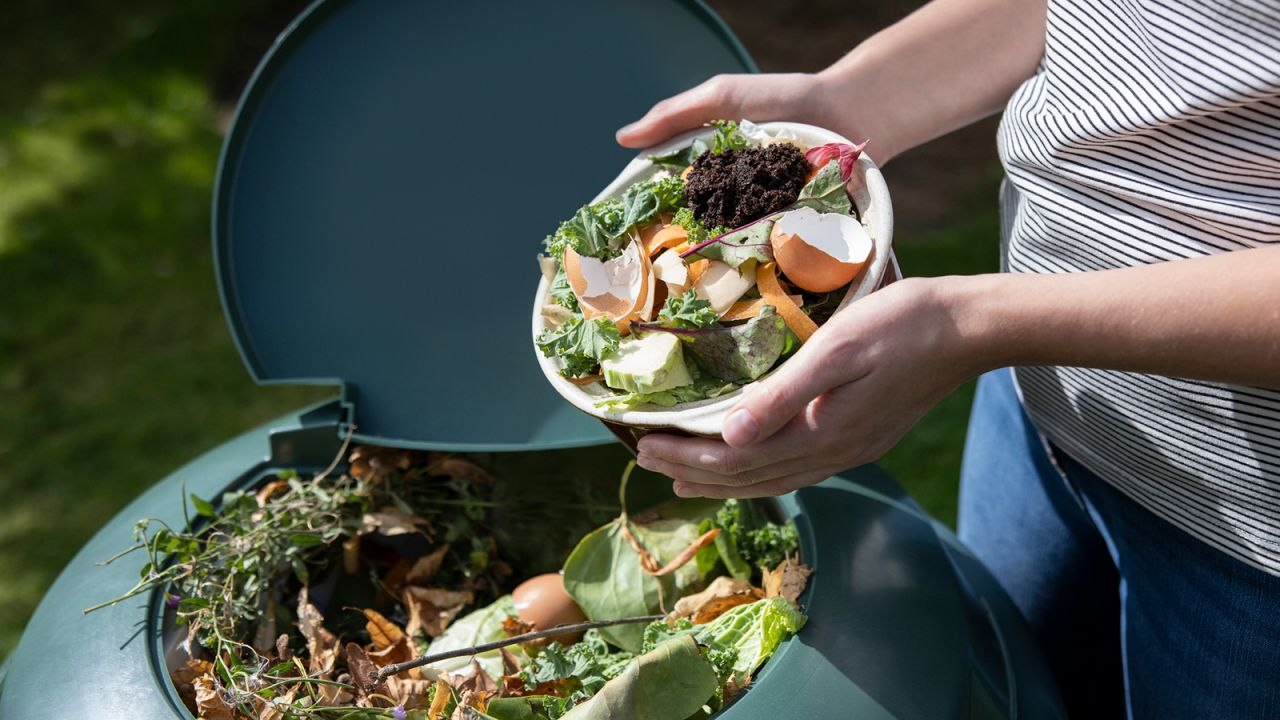 compost at home 4