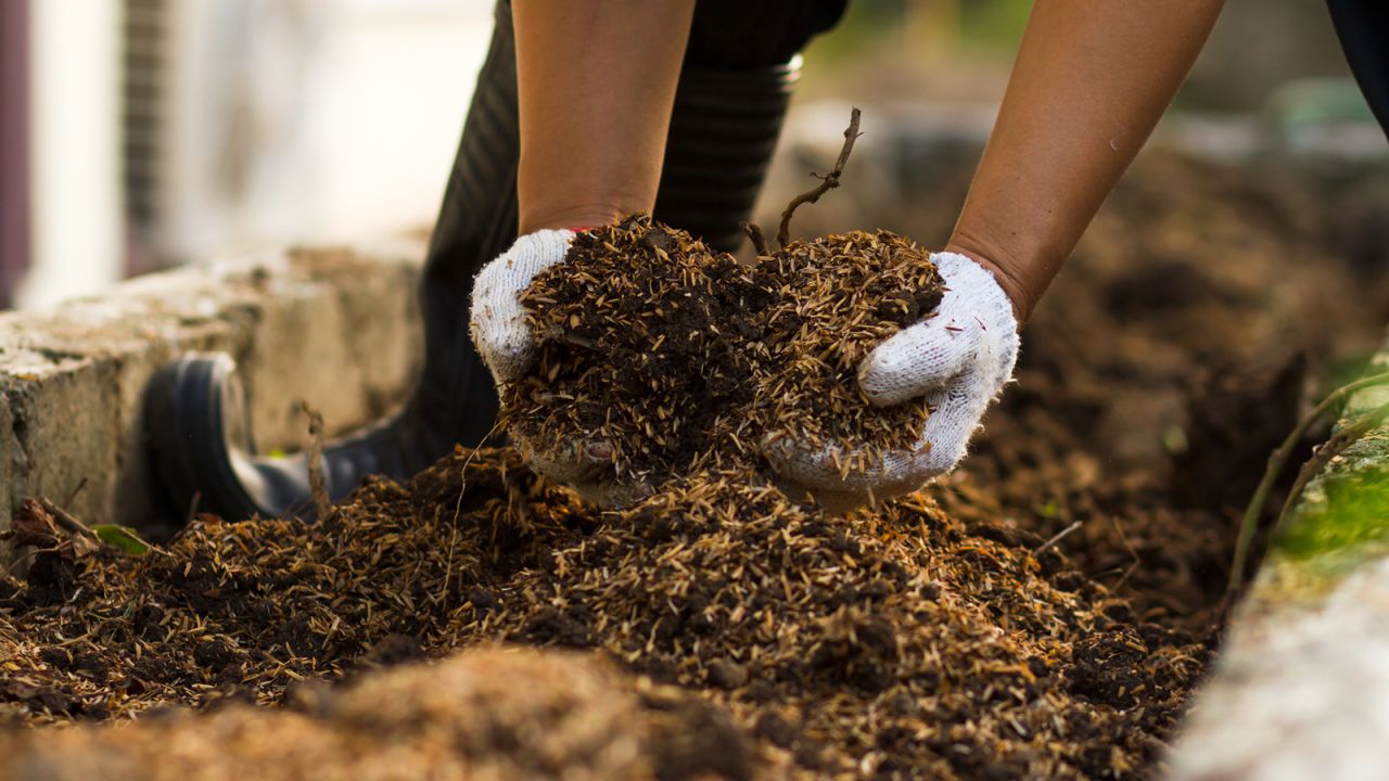 compost at home 5