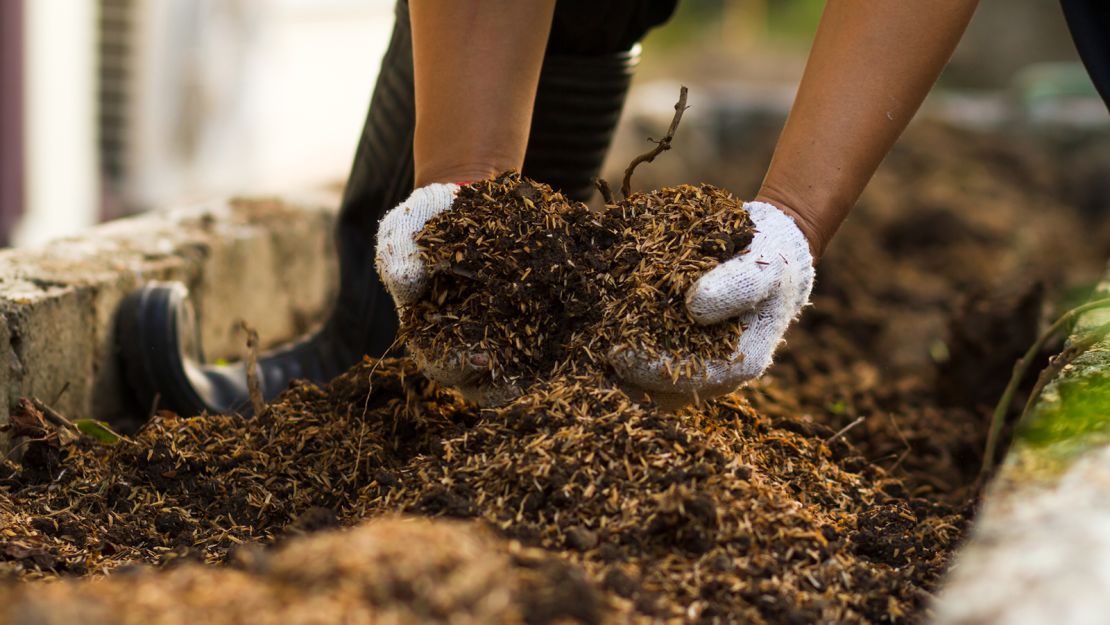 Everything you need to know to get started with home composting