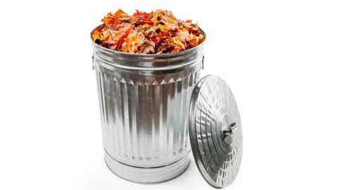 Behrens 31-Gallon Galvanized Steel Round Trash Can With Lid