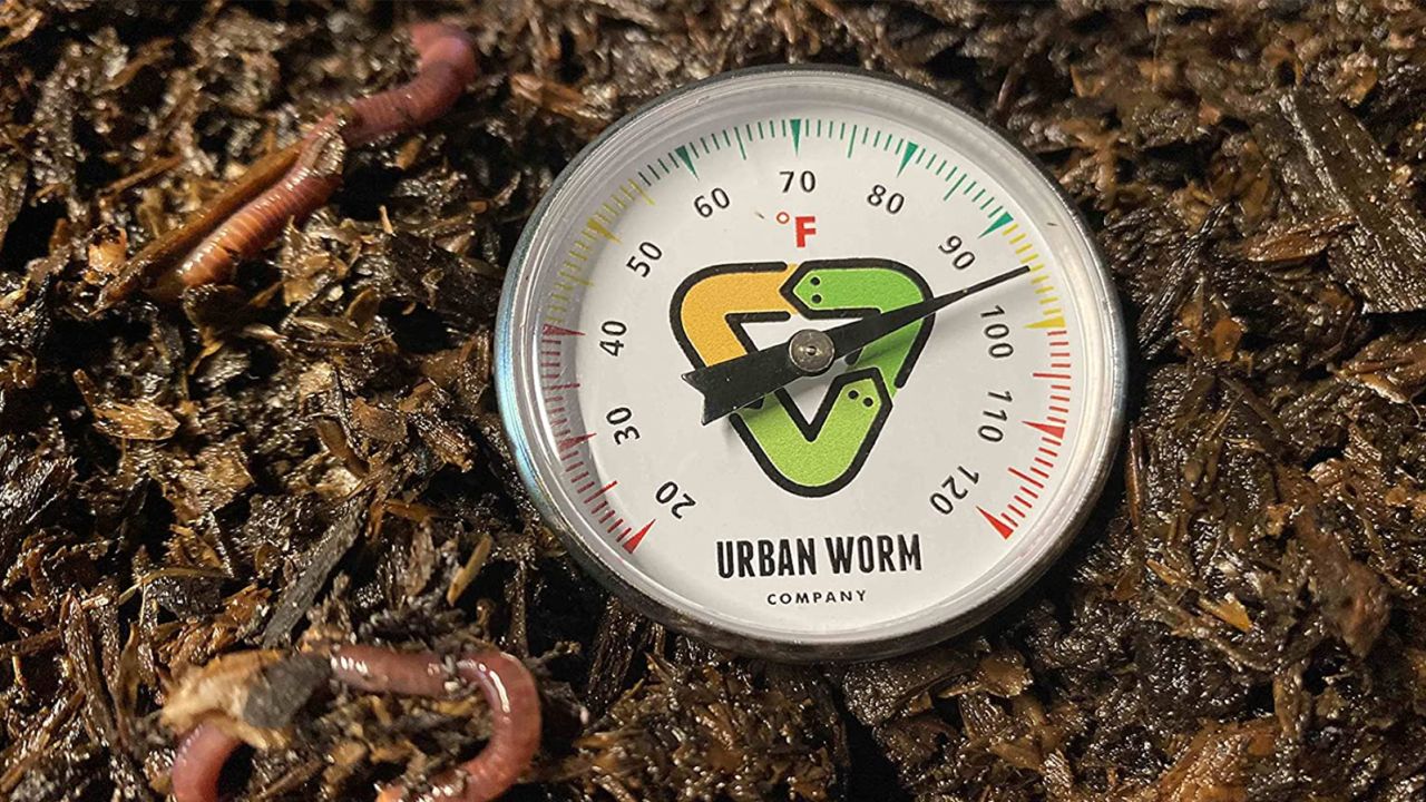 Urban Worm Soil Thermometer