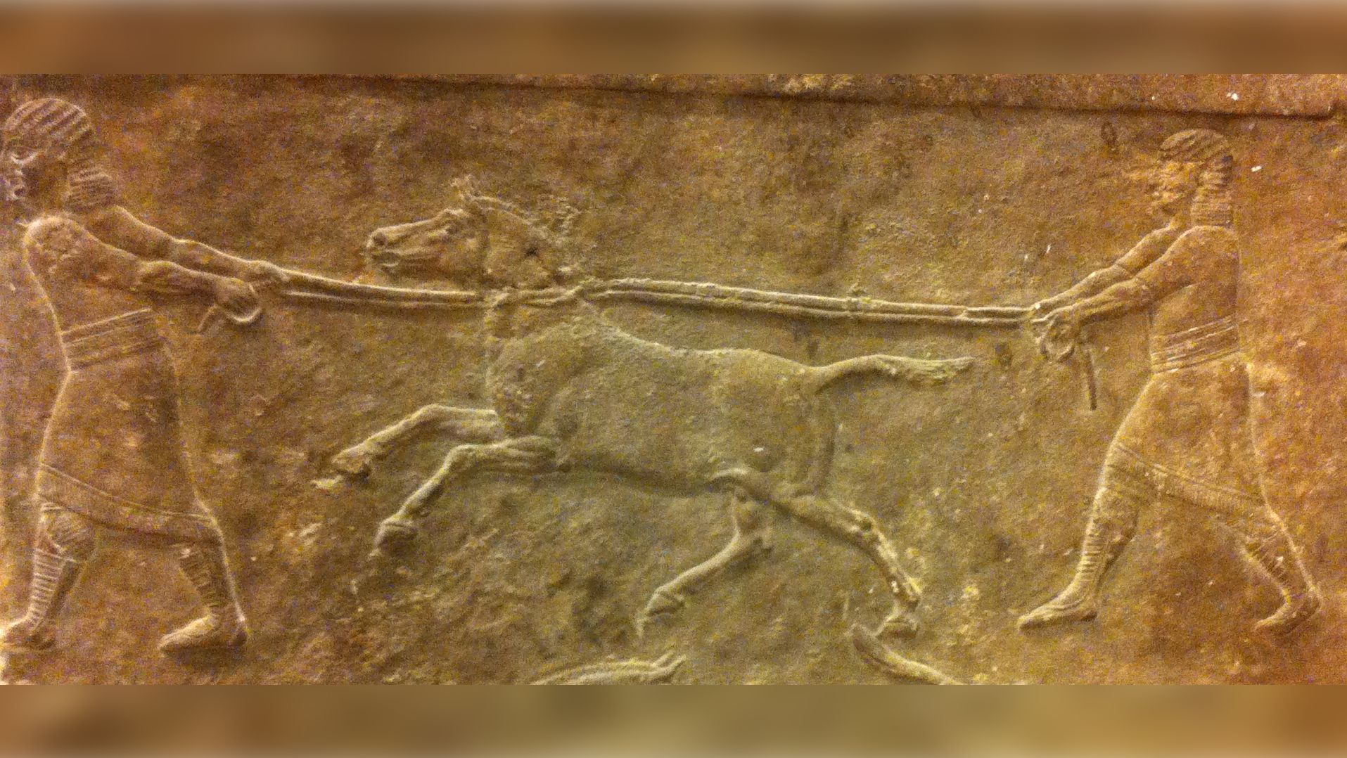 A panel showing two individuals hunting wild asses that dates to between  645-635 BCE (British Museum, London). © Eva-Maria Geigl / IJM / CNRS-Université de Paris