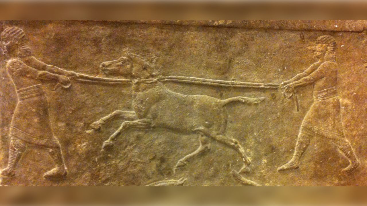 A panel showing two individuals hunting wild asses that dates to between  645-635 BCE (British Museum, London). © Eva-Maria Geigl / IJM / CNRS-Université de Paris