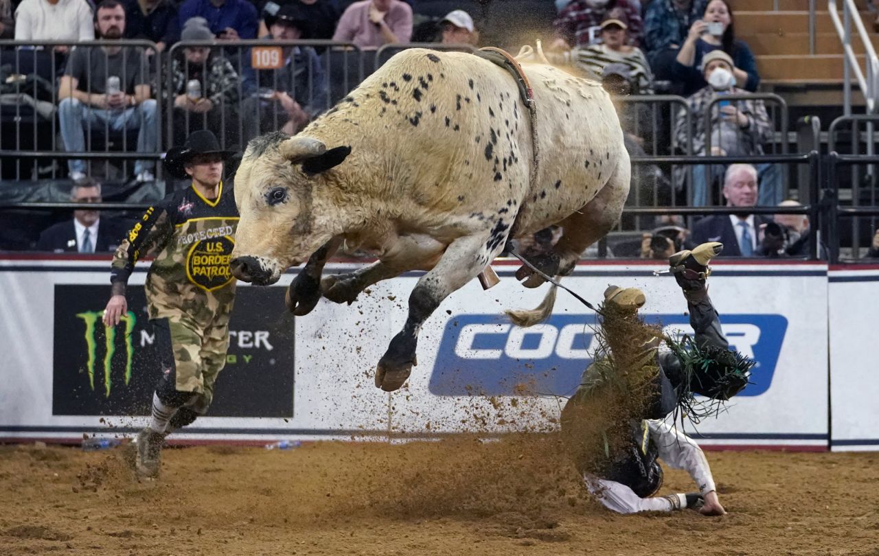 Dalton Kasel falls from The Good Stuff during a Professional Bull Riders event in New York on Saturday, January 8.