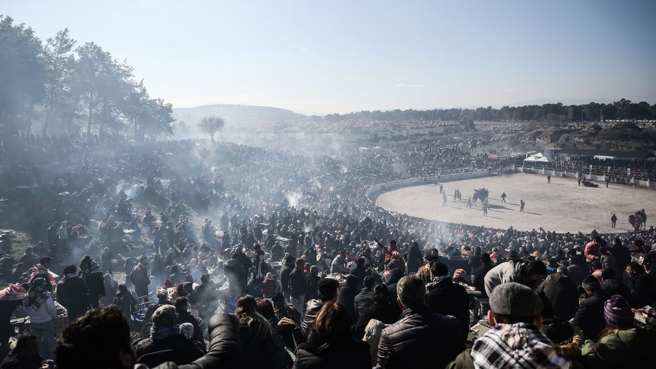 People watch while camels wrestle each other.