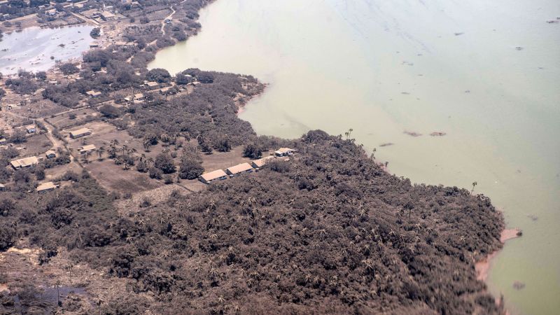 First images of Tonga volcano damage show entire communities covered in thick ash