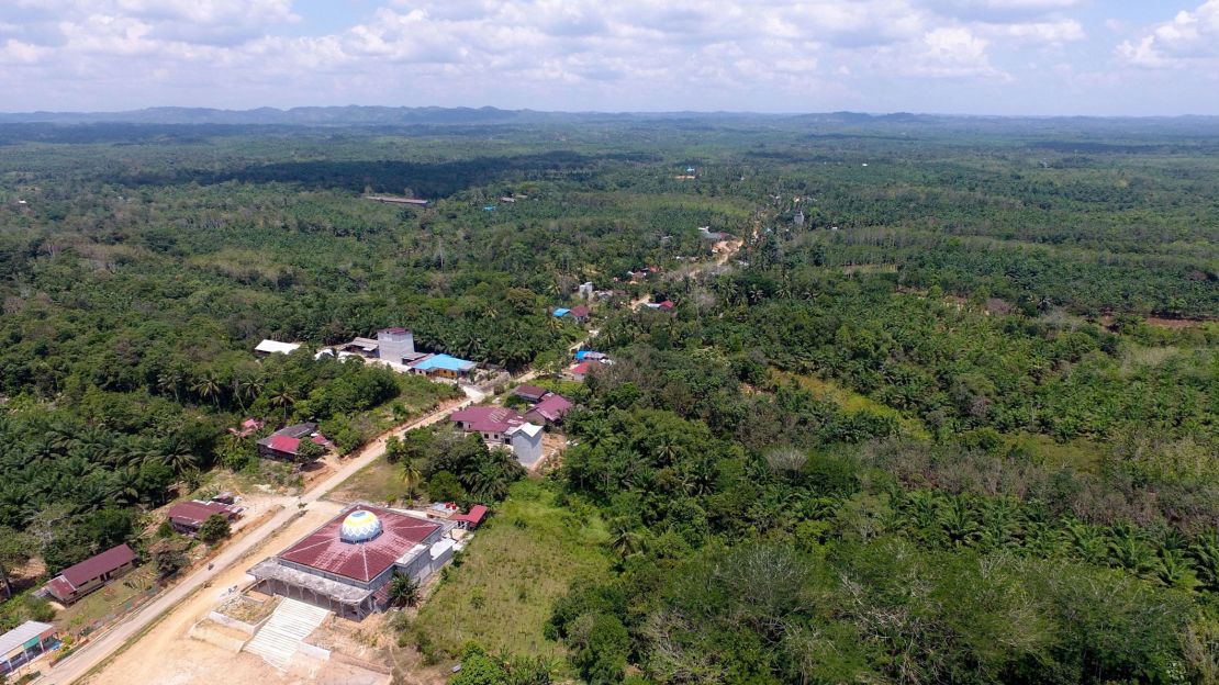 This aerial picture taken on August 28, 2019 shows the area around Sepaku, where Indonesia's new capital is set to be built. 