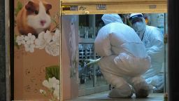 Staff members from Agriculture, Fisheries and Conservation Department investigate in a pet shop closed after some pet hamsters authorities said, tested positive for the coronavirus, in Hong Kong, Tuesday, Jan. 18, 2022. Hong Kong authorities said Tuesday that they will cull some 2,000 hamsters after several of the rodents tested positive for delta variant at the pet store where an infected employee was working. (AP Photo/Kin Cheung)