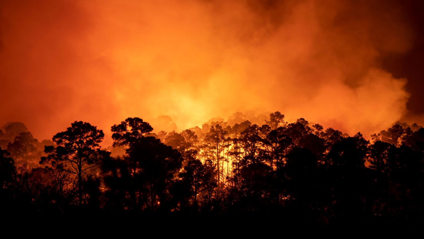 The Rolling Pines Fire in Bastrop County, Texas, forced some residents to evacuate