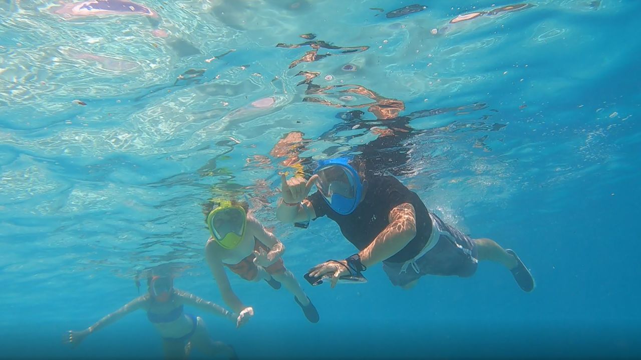 Diving with sharks in French Polynesia in 2021 was a highlight for the family.