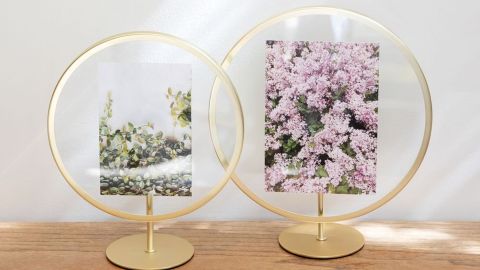 West Elm Infinity Photo Display