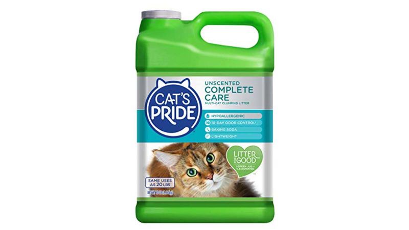 Unscented cat shop litter brands