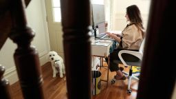 Rira Raisi works in her home where she has been working during the COVID-19 pandemic while her dog Pablo waits nearby in San Francisco Calif., on Tuesday, April 6, 2021. 