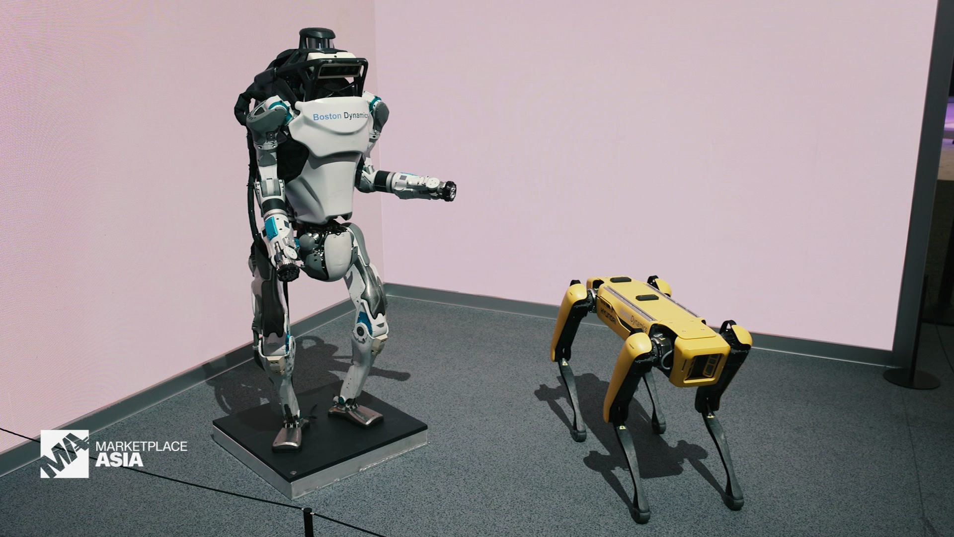 Cnn boston dynamics clearance