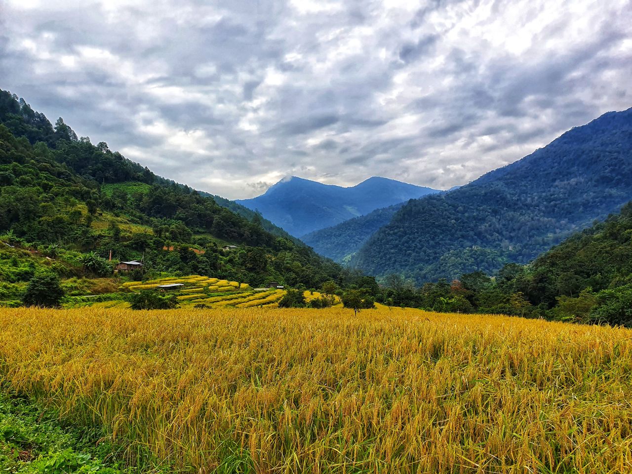 <strong>Trans Bhutan Trail:</strong> A former Buddhist pilgrimage route connecting sites in Bhutan and Tibet, this 250-mile path has reopened to tourists. Click through for more photos.