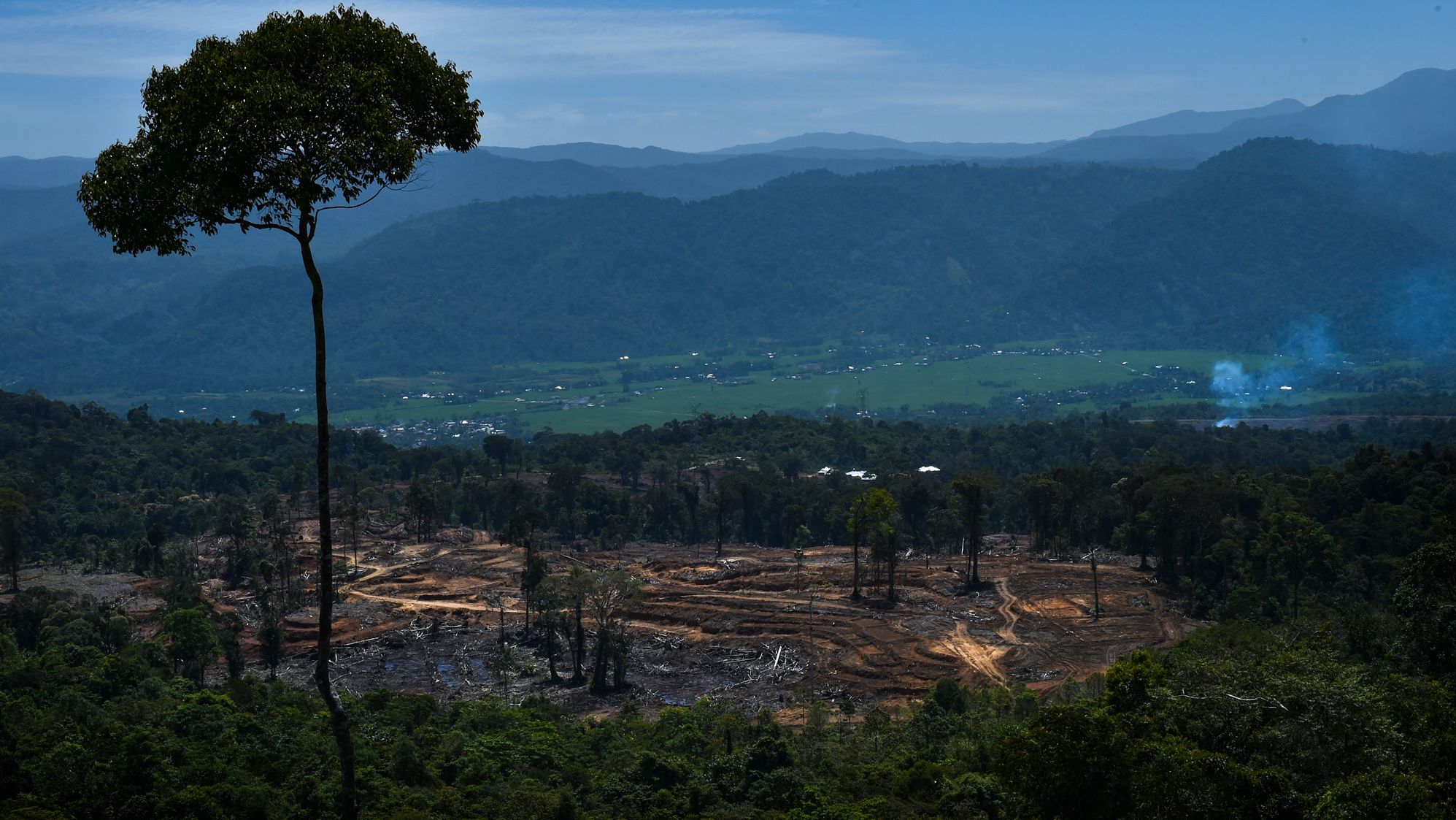 A land clearing area near protected forest in Tangse, Aceh province, in Indonesia on July 27, 2019.
