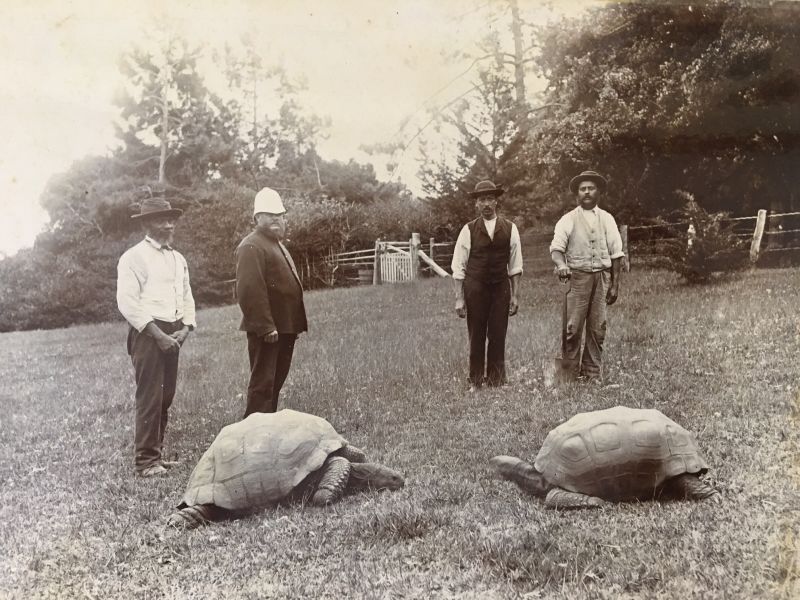 Meet 190 Year Old Jonathan The World S Oldest Ever Tortoise CNN   220126130411 03 Oldest Tortoise Jonathan Scli Intl 