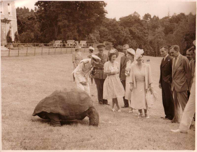 Meet 190 Year Old Jonathan The World S Oldest Ever Tortoise CNN   220126130533 04 Oldest Tortoise Jonathan Scli Intl 