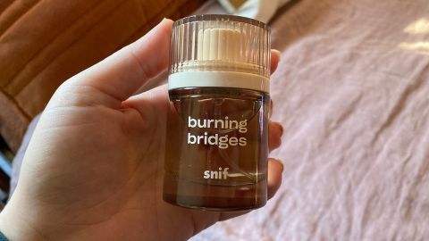 Snif Burning Bridges