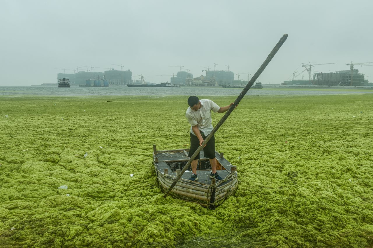 Yang Tongyu won the "Environment" category with this image of man pushing his fishing boat through algae-covered waters in the coastal city of Qingdao.