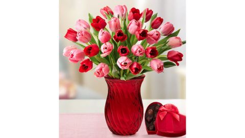 Sweetest Love Tulips With Red Vase and Chocolate