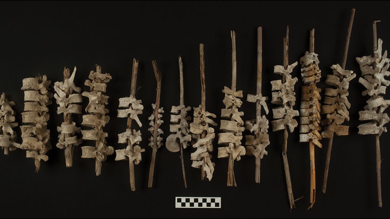 Examples of human vertebrae on posts, found in Peru's Chincha Valley, are shown.