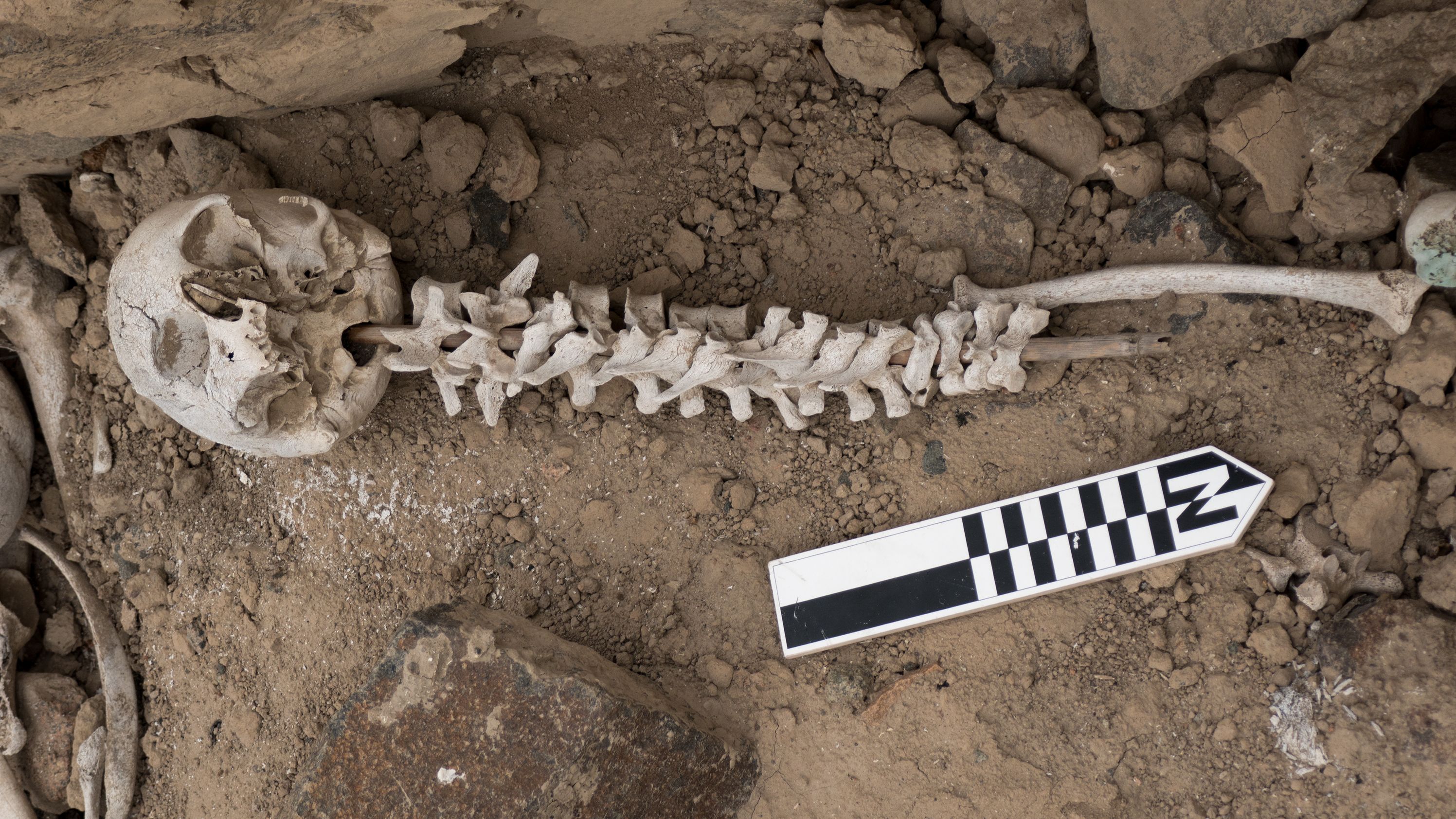 A vertebrae-on-post was inserted into a cranium, as found within a "chullpa."
